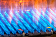 Seaforde gas fired boilers